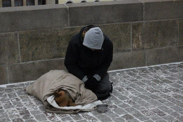 Февраль. Было очень холодно и дул ветер. Но вместо того, чтобы укрыться самому, бездомный накрывает свою собаку.