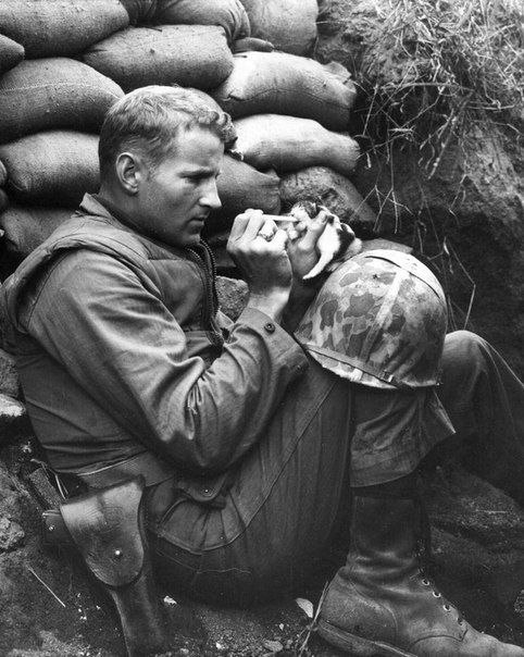 Солдат кормит котёнка
