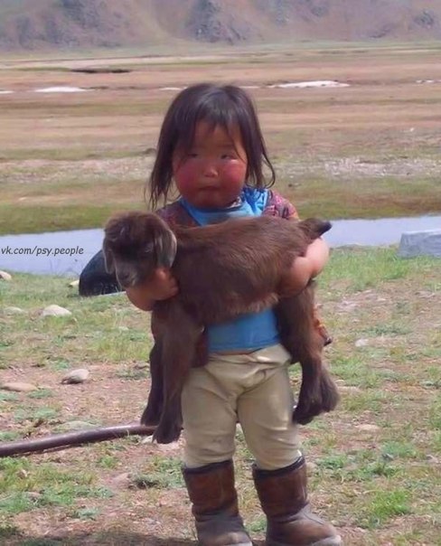 Девочка держит маленькую козу, спасенную от наводнения