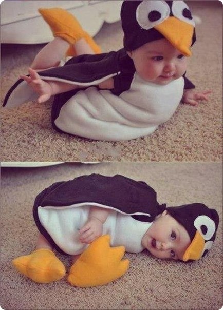 Пингвиненок :)