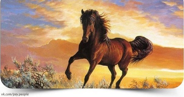 Однажды глупец увидел, как искусный наездник усмирил необъезженную лошадь и заставил её стоять на месте, а люди стояли и восхищались им. Глупцу тоже захотелось, чтобы им восхищались. 