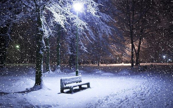 Ночной парк зимой.
