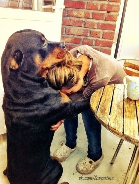 Вот почему собака лучший друг человека ;)