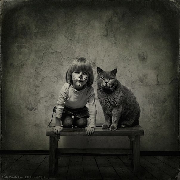 Дружба девочки и кота в объективе фотографа Aya Sakai