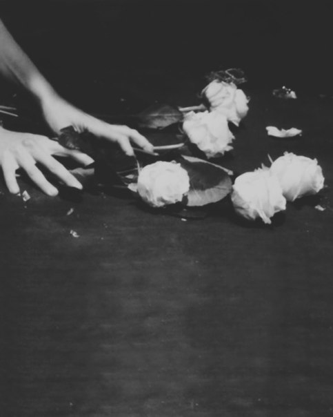 Я сорвал цветок, чтобы хоть на мгновенье тебя 