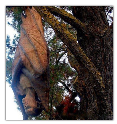 Вот такая скульптура весит в лесу...