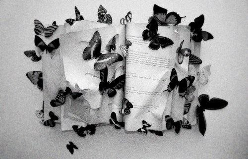 Эффект бабочки (англ. butterfly effect) — термин, метафорически отражающий возможность серьезных последствий незначительных и непредсказуемых событий. Имеет отношение к сложным интерактивным нелинейным системам (в т. ч. к психике, поведению и социальным взаимодействиям).