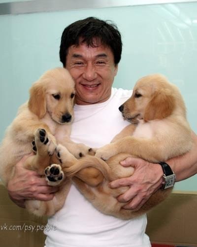 Джеки Чан с собачками,безумно позитивное фото