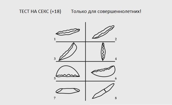 ТЕСТ НА СЕКС (+18)